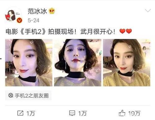 娱乐圈吃瓜目录最新