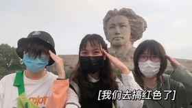 人类吃瓜娱乐