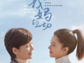 新上映电视剧,穿越时空的青春恋曲